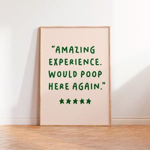 Amazing Experience Would Poop Here Again Print Beige Navy