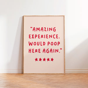 Amazing Experience Would Poop Here Again Print Beige Navy