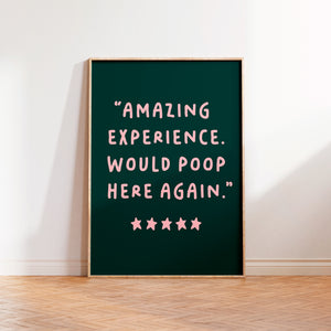 Amazing Experience Would Poop Here Again Print Beige Navy