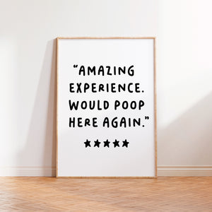 Amazing Experience Would Poop Here Again Print Beige Navy